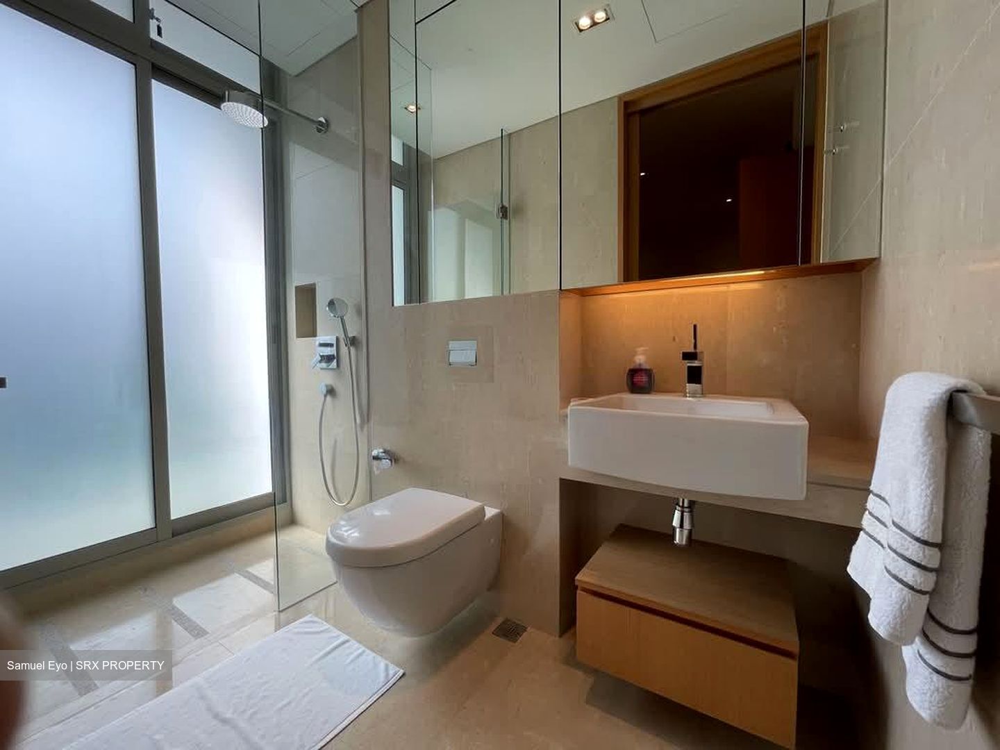 Beaufort On Nassim (D10), Condominium #579226801